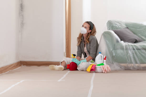Reliable Mold Remediation contractor in Myakka City, FL by WQB Mold Removal